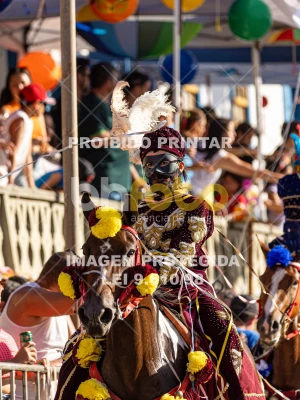 Detalhes da foto #51131