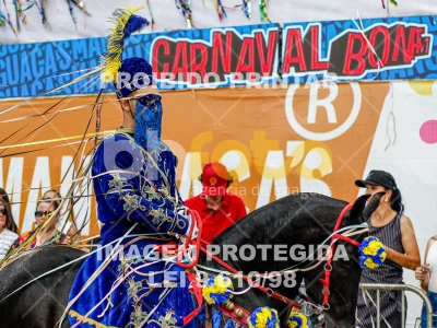 Detalhes da foto #88635