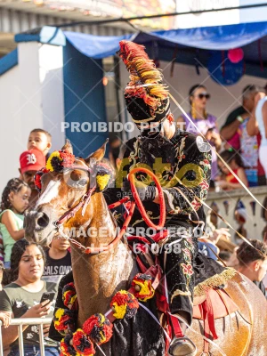 Detalhes da foto #99284