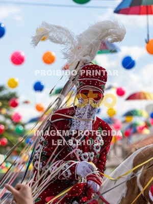 Detalhes da foto #44172