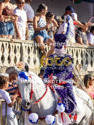 Detalhes da foto #29927