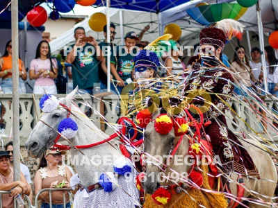 Detalhes da foto #54713