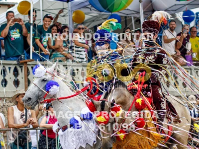 Detalhes da foto #93441