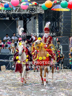 Detalhes da foto #27892