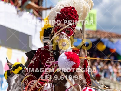 Detalhes da foto #75858