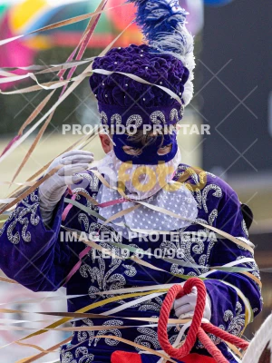 Detalhes da foto #17033