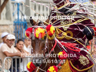 Detalhes da foto #86395