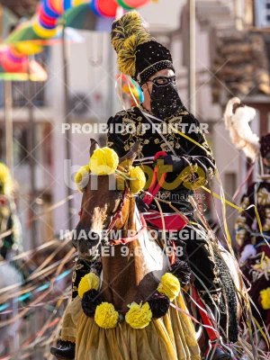 Detalhes da foto #22625