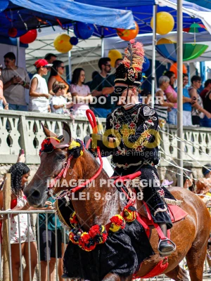 Detalhes da foto #30453