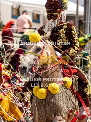 Detalhes da foto #80945