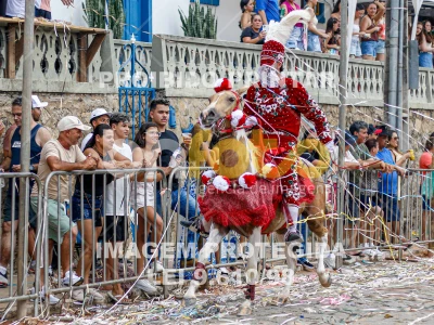 Detalhes da foto #56941