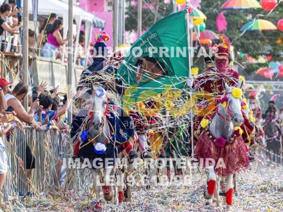 Detalhes da foto #66183