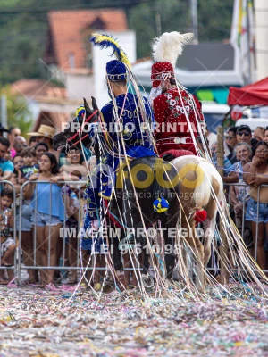 Detalhes da foto #17865