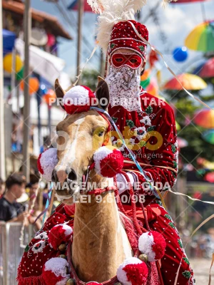 Detalhes da foto #32732