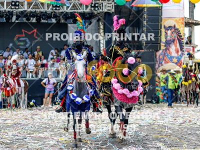 Detalhes da foto #17591