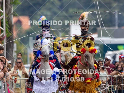 Detalhes da foto #19942