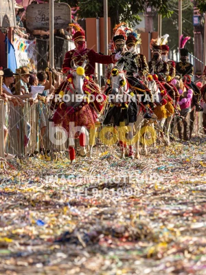 Detalhes da foto #36262