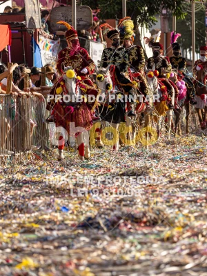 Detalhes da foto #33534