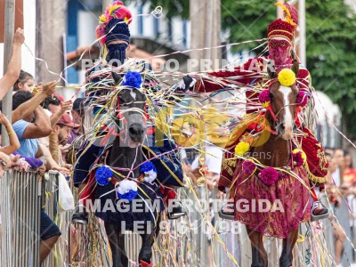 Detalhes da foto #87952