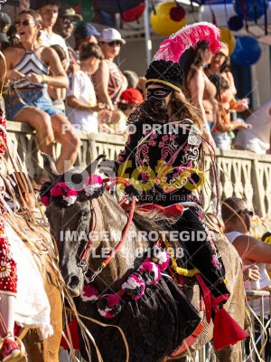 Detalhes da foto #24439