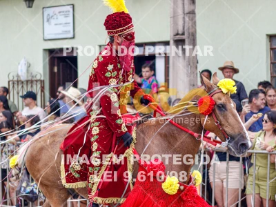 Detalhes da foto #28671