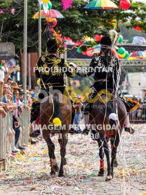 Detalhes da foto #12258