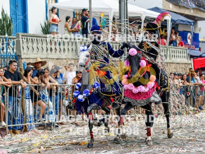 Detalhes da foto #27193