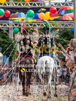 Detalhes da foto #89822