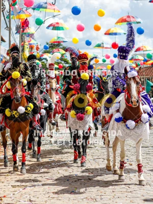 Detalhes da foto #53180