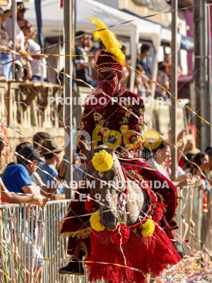 Detalhes da foto #95066