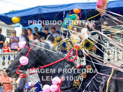 Detalhes da foto #86709