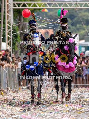 Detalhes da foto #44614