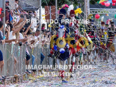 Detalhes da foto #66041