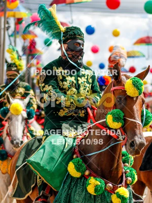 Detalhes da foto #22790