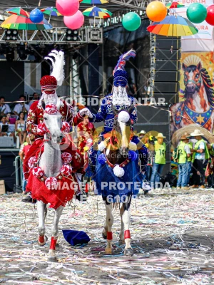 Detalhes da foto #80557