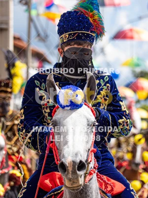 Detalhes da foto #12058