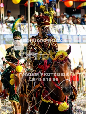 Detalhes da foto #85219