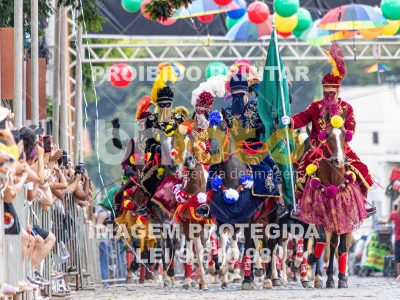 Detalhes da foto #47976