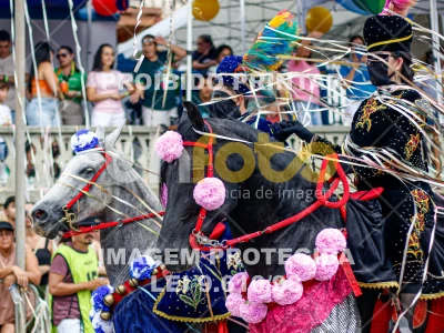 Detalhes da foto #75176