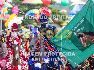 Detalhes da foto #97598