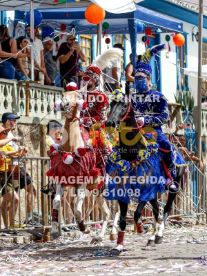 Detalhes da foto #93659