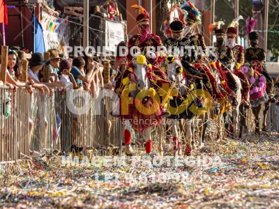 Detalhes da foto #73584