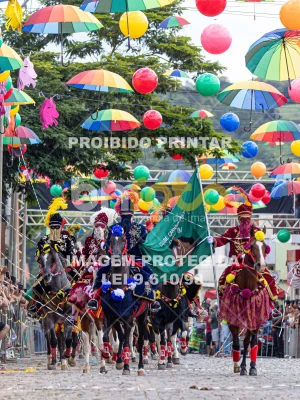 Detalhes da foto #88547