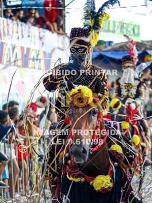 Detalhes da foto #34427