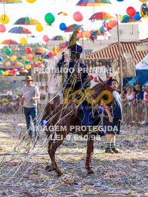 Detalhes da foto #28591