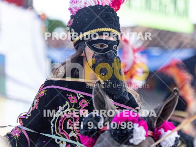 Detalhes da foto #95718