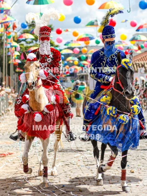 Detalhes da foto #83698