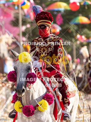 Detalhes da foto #77675