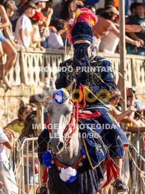 Detalhes da foto #89712