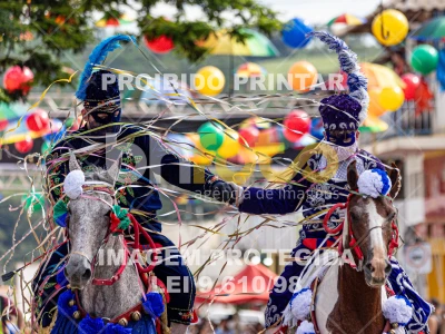 Detalhes da foto #71780